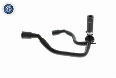 VAICO V10-3631 EAN: 4046001665158.