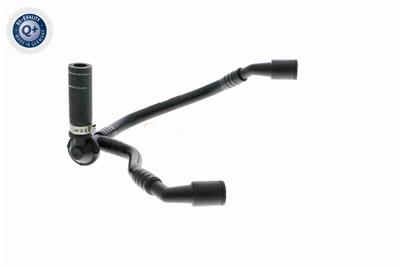 VAICO V10-3631 EAN: 4046001665158.