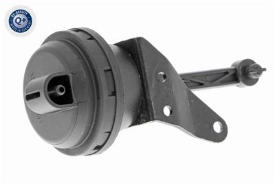 VAICO V10-3668 EAN: 4046001665721.