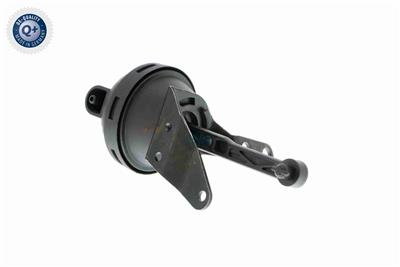 VAICO V10-3668 EAN: 4046001665721.