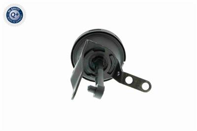 VAICO V10-3668 EAN: 4046001665721.