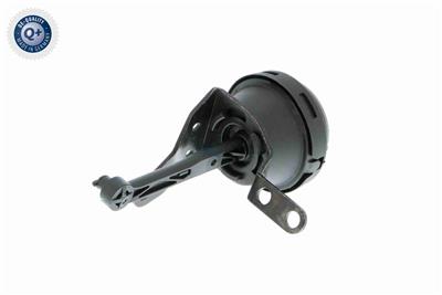 VAICO V10-3668 EAN: 4046001665721.