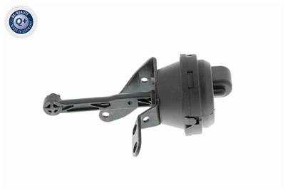 VAICO V10-3668 EAN: 4046001665721.