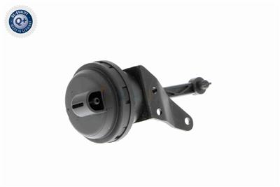 VAICO V10-3668 EAN: 4046001665721.