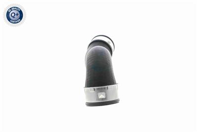 VAICO V10-3761 EAN: 4046001688164.