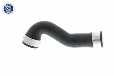 VAICO V10-3761 EAN: 4046001688164.