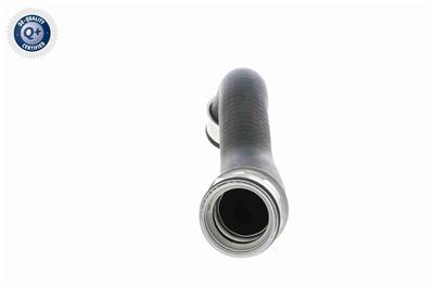 VAICO V10-3761 EAN: 4046001688164.