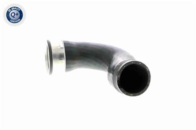 VAICO V10-3768 EAN: 4046001688218.