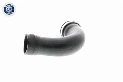 VAICO V10-3768 EAN: 4046001688218.