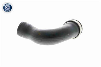 VAICO V10-3768 EAN: 4046001688218.