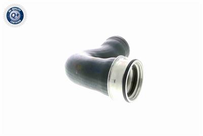 VAICO V10-3768 EAN: 4046001688218.