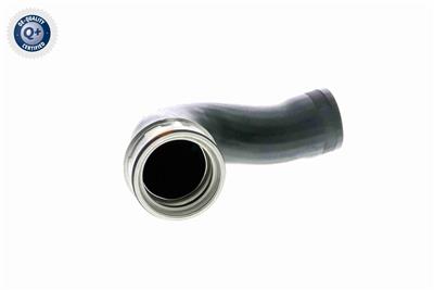 VAICO V10-3768 EAN: 4046001688218.