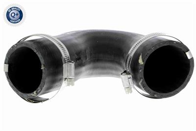 VAICO V10-3808 EAN: 4046001688652.