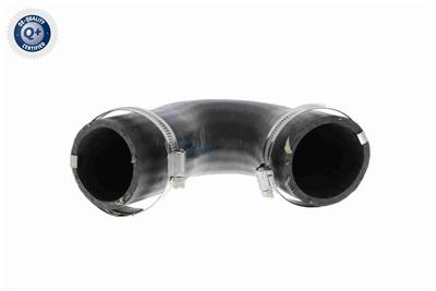 VAICO V10-3808 EAN: 4046001688652.