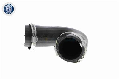 VAICO V10-3808 EAN: 4046001688652.