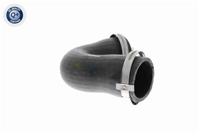 VAICO V10-3808 EAN: 4046001688652.