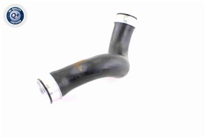 VAICO V10-3815 EAN: 4046001688713.