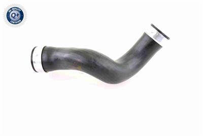 VAICO V10-3815 EAN: 4046001688713.