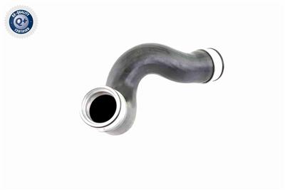 VAICO V10-3815 EAN: 4046001688713.