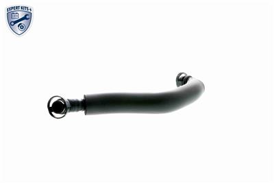 VAICO V10-3880 EAN: 4046001695483.