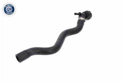 VAICO V10-4665 EAN: 4046001818493.