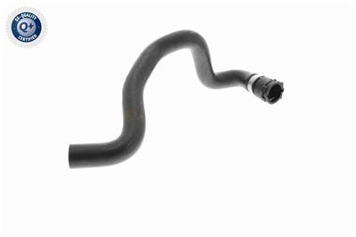 VAICO V10-4811 EAN: 4046001845680.