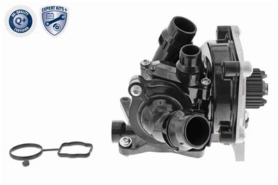 VAICO V10-4919 EAN: 4046001871542.