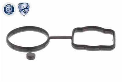 VAICO V10-4919 EAN: 4046001871542.