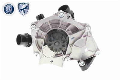 VAICO V10-4919 EAN: 4046001871542.