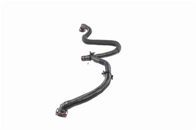 VAICO V10-5456 EAN: 4062375135622.