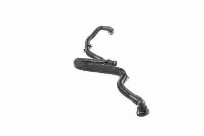 VAICO V10-5456 EAN: 4062375135622.