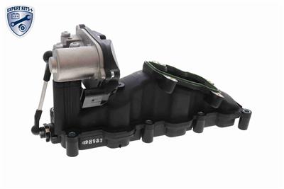 VAICO V10-6482 EAN: 4046001896569.