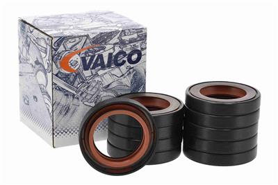 VAICO V22-0800 EAN: 4062375259113.