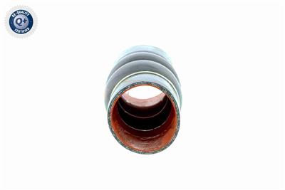 VAICO V25-0949 EAN: 4046001689543.