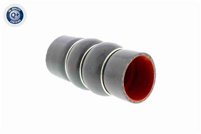 VAICO V25-0949 EAN: 4046001689543.