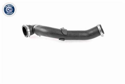 VAICO V25-1176 EAN: 4046001802690.