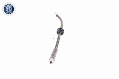 VAICO V30-0613 EAN: 4046001911026.