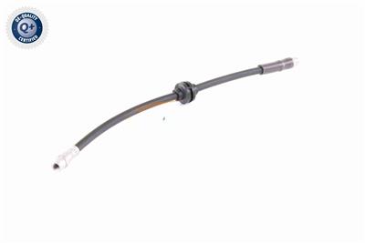 VAICO V30-0613 EAN: 4046001911026.