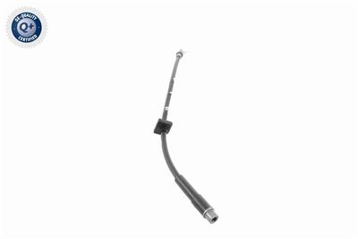 VAICO V42-0168 EAN: 4046001450518.