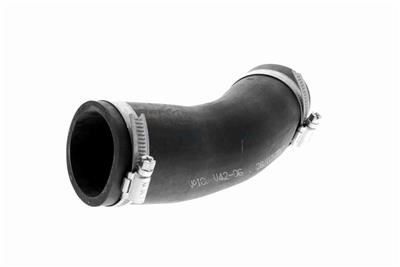 VAICO V42-0601 EAN: 4046001789038.