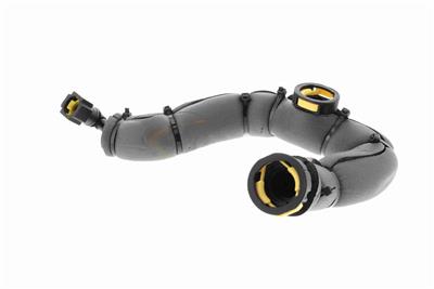 VAICO V42-0856 EAN: 4062375137213.