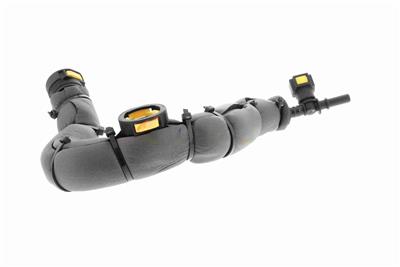 VAICO V42-0856 EAN: 4062375137213.