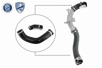 VAICO V46-1025 EAN: 4046001918582.