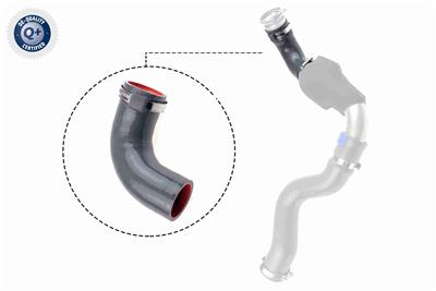 VAICO V46-1035 Číslo výrobce: VAV46-1035-8200648187part2. EAN: 4046001919473.