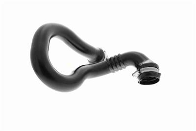 VAICO V46-1181 EAN: 4062375062720.