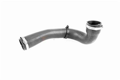 VAICO V48-0185 EAN: 4046001787942.