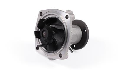 HEPU P1081 EAN: 4250093410811.