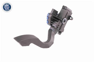 VEMO V24-82-0005 EAN: 4046001920738.