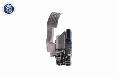 VEMO V24-82-0005 EAN: 4046001920738.