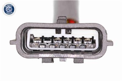 VEMO V30-76-0055 EAN: 4046001953811.